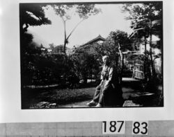 庭の老人 / Elderly Man in a Garden image