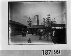 屋外で遊ぶ子供たち / Children Playing Outdoors image