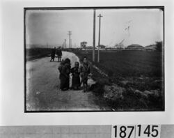 水田沿いの道に立つ子供たち / Children Standing on a Road Beside Rice Paddies image