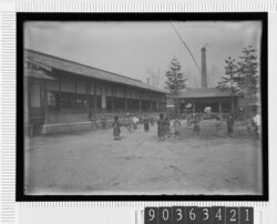 屋外で遊ぶ子供たち / Children Playing Outdoors image