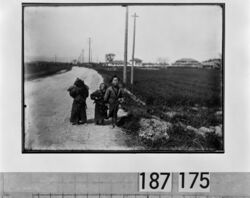 水田沿いの道に立つ子供たち / Children Standing on a Road Beside Rice Paddies image