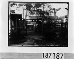 八束穂稲荷大明神鳥居と子供たち / Children and the Torii Gateway of the Yatsukaho Inari Daimyojin Shrine image