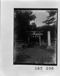 国幣中社出雲神社 / The Izumo State Shrine image