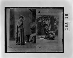 西欧の女優とライオンの写真 / European Actress; Two Lions image