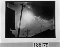 太陽と電信柱 / Telegraph Poles and the Sun image