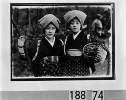きのこを持つ若い女性 / Two Young Women with Mushrooms image