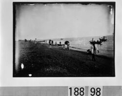 海辺で遊ぶ人々 / People Playing by the Sea image