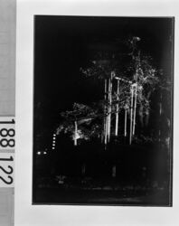 円山公園しだれ桜夜景 / Night Scene of Weeping Cherry Tree in Maruyama Park image