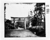 鳥居と寺院/Torii Gateway and Temple image