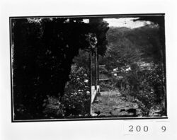 山中の家屋(撮影地不詳) / A House in the Mountains (Photograph Location Unknown) image