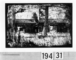 東寺 北ノ門 / Toji Temple North Gate image