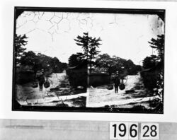 興福寺 / Kofukuji Temple image
