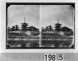 興福寺 塔・猿沢池 / Kofukuji Temple Pagoda and Sarusawanoike Pond image