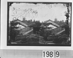 興福寺 五重塔遠望 / Kofukuji Temple Five-Storied Pagoda from Afar image