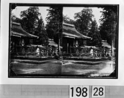 手向山八幡宮 / Tamukeyama Hachimangu Shrine image