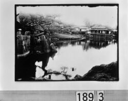 庭園の池で釣りをする男 / Man Fishing in a Garden Pond image