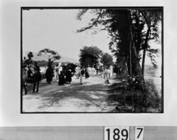 牛車の行列 / Procession of Ox-Drawn Carriages image