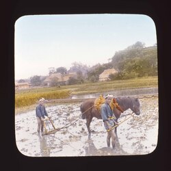 田を耕す農夫と馬 / Two Farmers and a Horse, Plowing a Field image