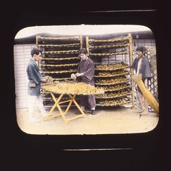 養蚕をする男性たち / Men Raising Silkworms image