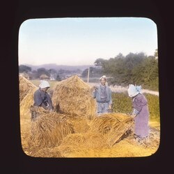 脱穀をする農民たち / Farmers Threshing image