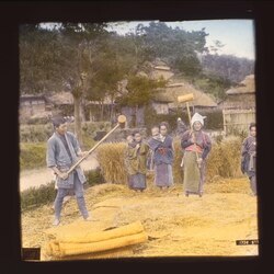 脱穀をする農民たち / Farmers Threshing image