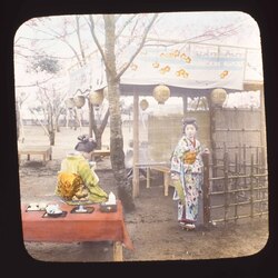 花見をする女性たち / Women at a Cherry Blossom Party image