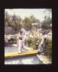 菖蒲と少女たち / Girls and Japanese Iris by the Waterside image