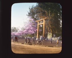 鳥居の前の人力車 / Rickshaw in Front of a Torii Gateway image
