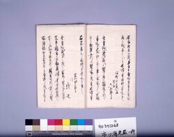 市川海老蔵一件(奢多禁令違反により町役人共々処罰申渡) / Document of Community image