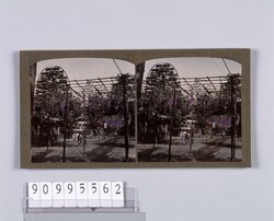 東京勧業博覧会 観覧車(No.4) / National Industrial Exhibition in Tokyo: Ferris Wheel (No. 4) image