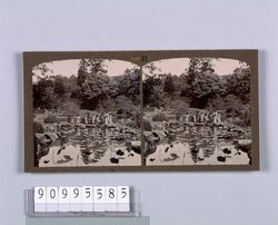 東京植物園(小石川植物園)(一)(No.21) / Tokyo Botanical Gardens (Koishikawa Botanical Gardens) (1) (No. 21) image