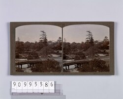 東京植物園(小石川植物園)(二)(No.22) / Tokyo Botanical Gardens (Koishikawa Botanical Gardens) (2) (No. 22) image