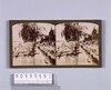 東京洪水(本所)(明治40年8月)(No.25)/Tokyo Flooding (Honjo) (August 1907) (No. 25) image