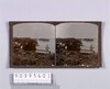 松島(五大堂)(No.29)/Matsushima (Godaido Temple) (No. 29) image
