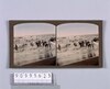 海水浴(No.44)/Sea Bathing (No. 44) image