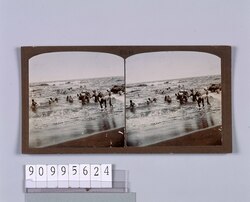 海水浴(No.44) / Sea Bathing (No. 44) image