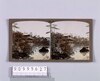 金閣寺(No.46)/Temple of the Golden Pavilion (Kinkakuji) (No. 46) image