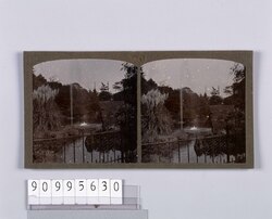 池の噴水(No.48) / Pond with Fountain (No. 48) image