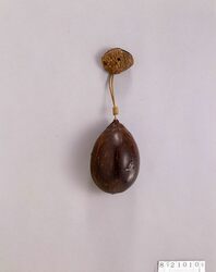 不如帰象嵌茄子形とんこつ一つ提げたばこ入れ / Eggplant-shaped Tobacco Caddy with Inlaid Cuckoo Design image