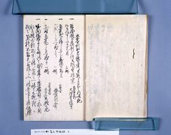 嘉永珍舶録 下 / Kaei Chinhakuroku, Vol. 2 image