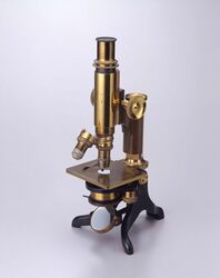 顕微鏡 / Microscope image