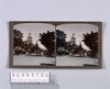蘭貢市街(No.170)/Street in Rangoon (No. 170) image