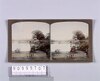 「ローヤル」湖畔(No.171)/Shore of “Royal” Lake (No. 171) image