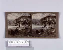 ラングーン市内の公園(No.172) / Park in Rangoon City (No. 172) image