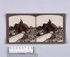 チーク材を運ぶ象(No.179)/Elephant Carrying Teak Material (No. 179) image