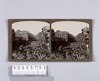 マハラム祭典(No.194)/Commemoration of Muharram (No. 194) image