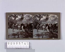 軽便登山鉄道(ボンベイ-マテラン)(No.198) / Light Hill Railway (Bombay―Matheran) (No. 198) image