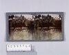 セイロンの象の水浴(No.199)/Elephants of Ceylon Bathing (No. 199) image