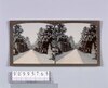 セイロンの棕櫚並木(No.200)/Avenue of Fan Palms in Ceylon (No. 200) image