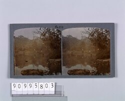 小石川後楽園(一)(No.219) / Koishikawa Korakuen Gardens (1) (No. 219) image
